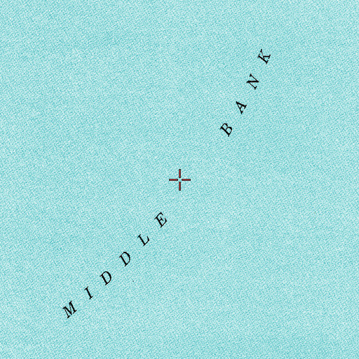 Topographic Map of Middle Bank, WA