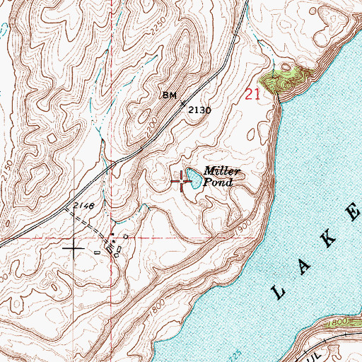 Topographic Map of Miller Pond, WA