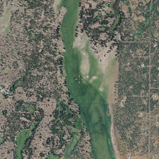Aerial/Satellite Image of Moreland Meadow, WA