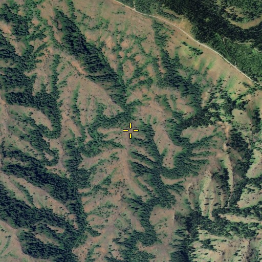 Aerial/Satellite Image of Morrow Ridge, WA
