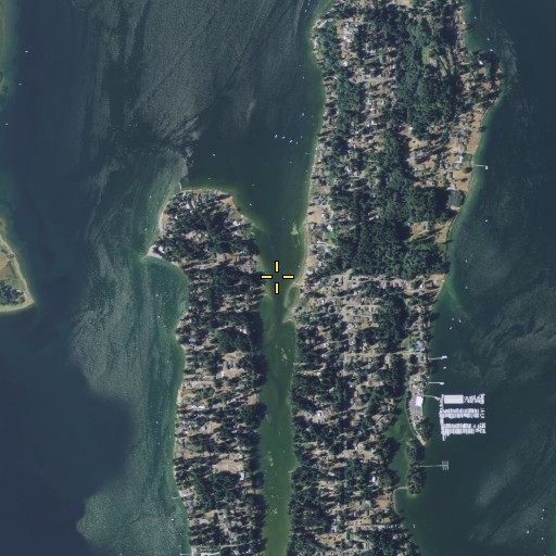 Aerial/Satellite Image of Mud Bay, WA