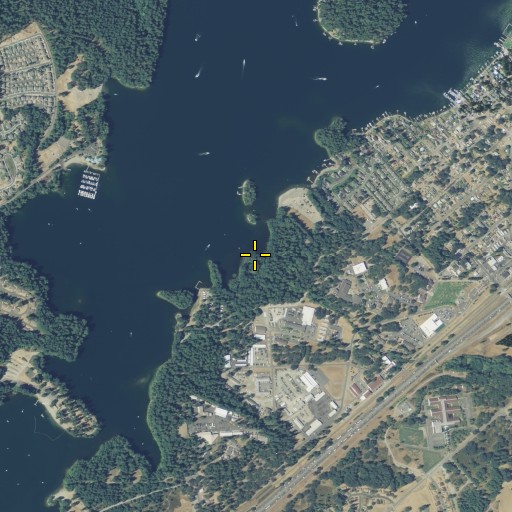 Aerial/Satellite Image of Murray Creek, WA