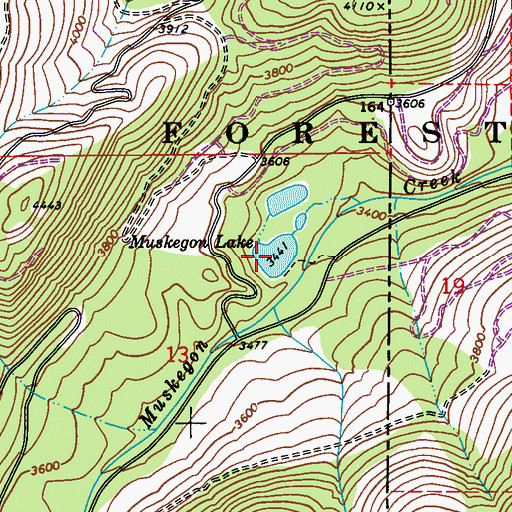 Topographic Map of Muskegon Lake, WA