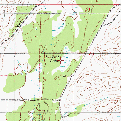Topographic Map of Muskrat Lake, WA