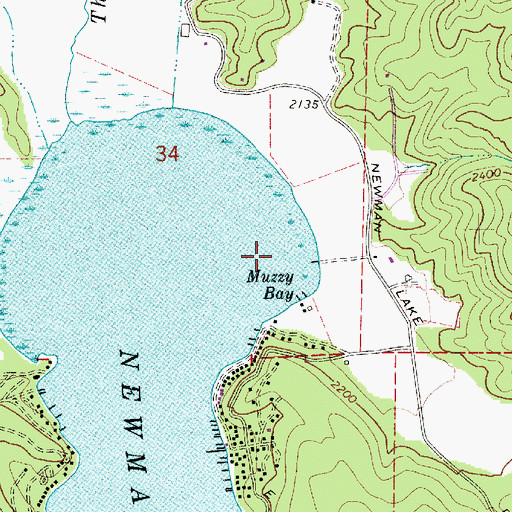 Topographic Map of Muzzy Bay, WA
