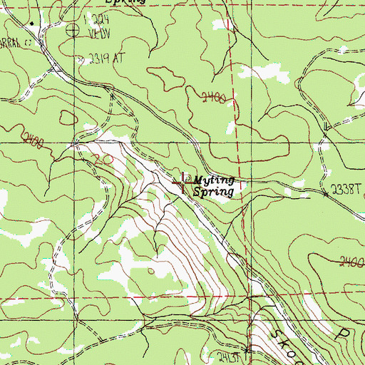 Topographic Map of Myting Spring, WA