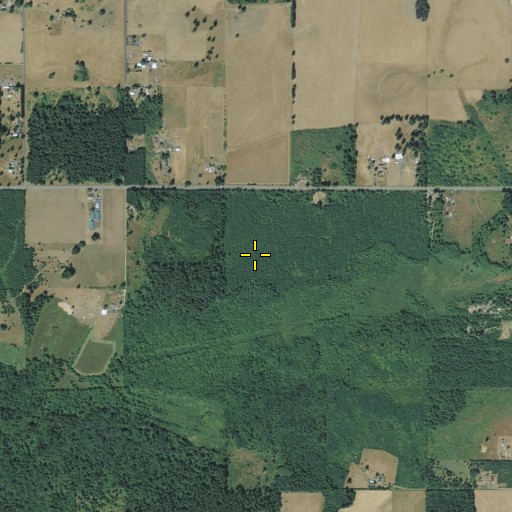 Aerial/Satellite Image of Napavine Prairie, WA