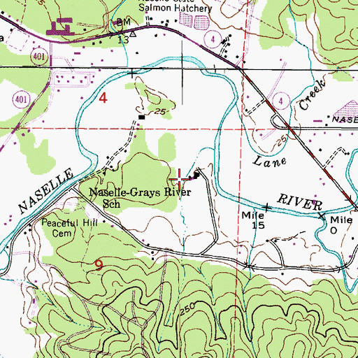 Topographic Map of Naselle-Grays River School, WA