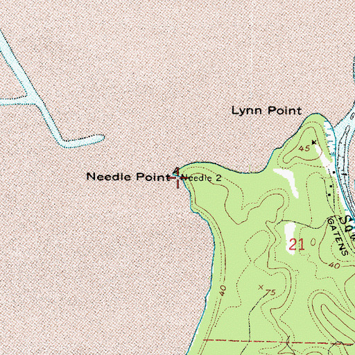 Topographic Map of Needle Point, WA