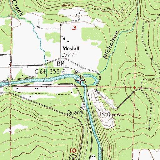 Topographic Map of Nicholson Creek, WA
