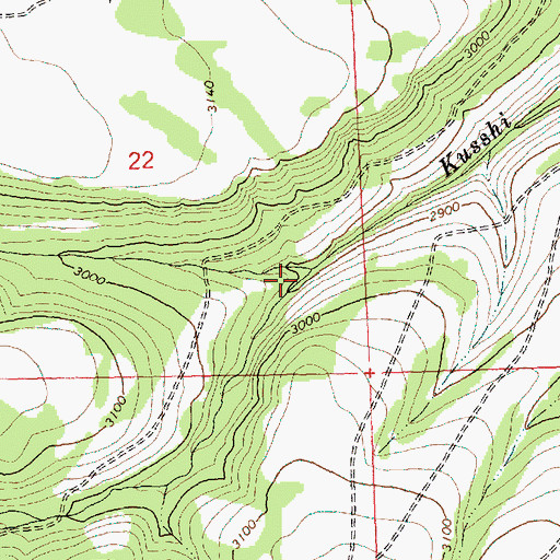 Topographic Map of North Fork Kusshi Creek, WA