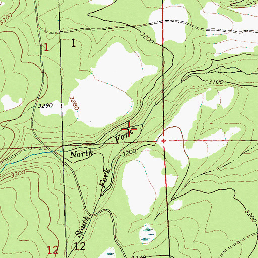 Topographic Map of North Fork Logy Creek, WA