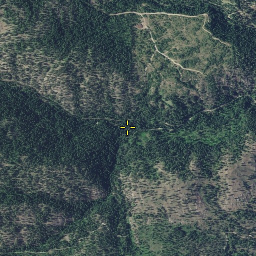 Aerial/Satellite Image of North Fork Threemile Creek, WA