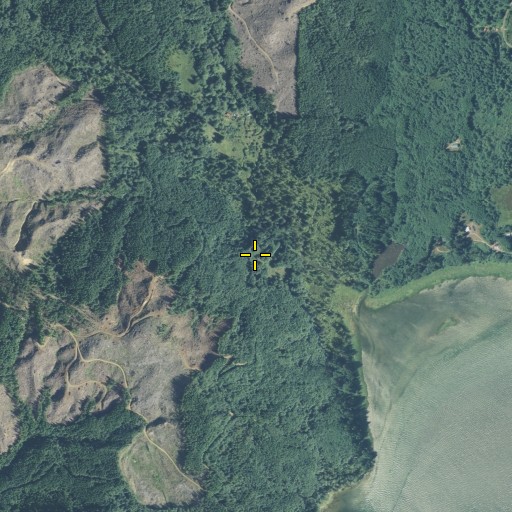 Aerial/Satellite Image of Old Camp Brix, WA