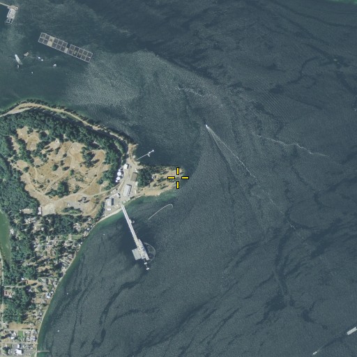 Aerial/Satellite Image of Orchard Point, WA