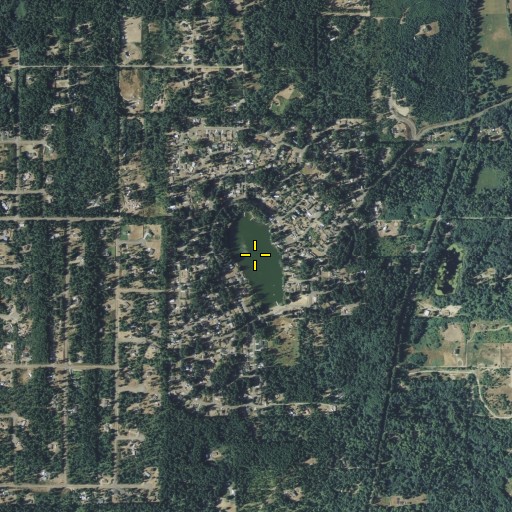Aerial/Satellite Image of Palmer Lake, WA