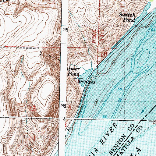 Topographic Map of Palmer Pond, WA