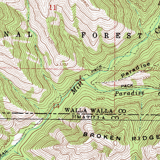 Topographic Map of Paradise Creek, WA