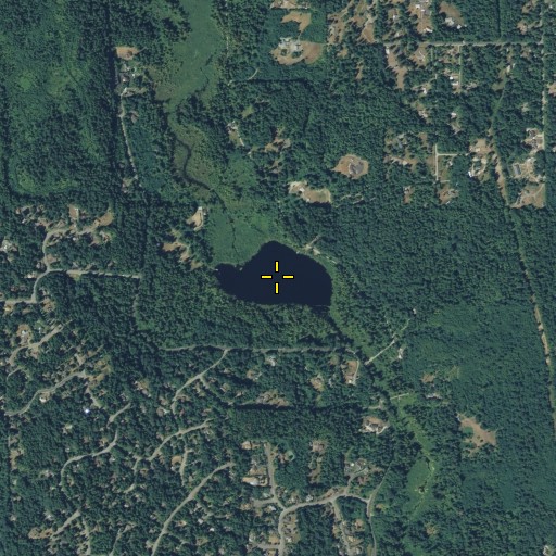 Aerial/Satellite Image of Paradise Lake, WA