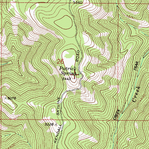 Topographic Map of Patrick Spring, WA