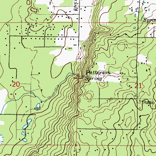 Topographic Map of Patterson Spring, WA