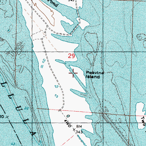 Topographic Map of Peavine Island, WA