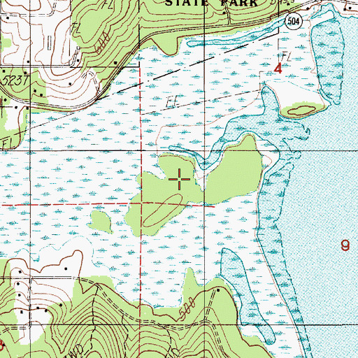 Topographic Map of Pete Moore Island, WA