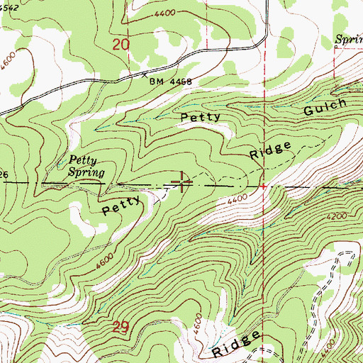 Topographic Map of Petty Ridge, WA