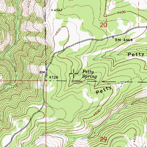 Topographic Map of Petty Spring, WA