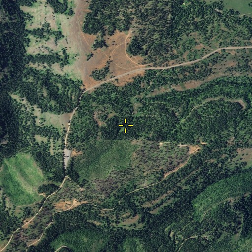 Aerial/Satellite Image of Petty Spring, WA