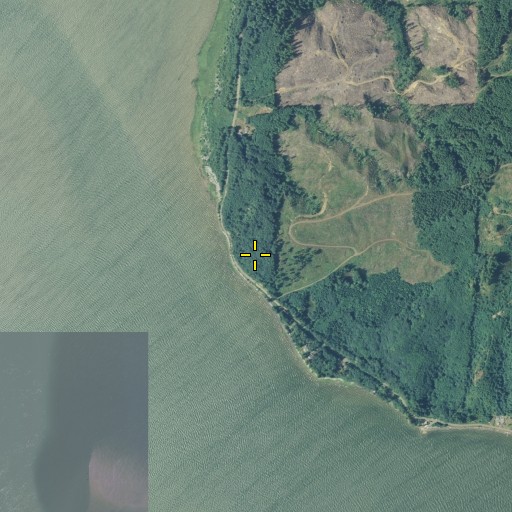 Aerial/Satellite Image of Pigeon Bluff, WA