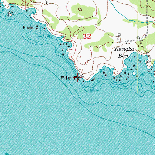 Topographic Map of Pile Point, WA