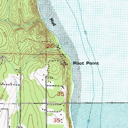 Topographic Map of Pilot Point, WA