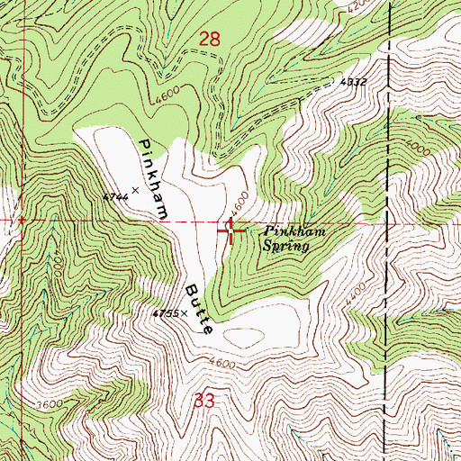 Topographic Map of Pinkham Spring, WA