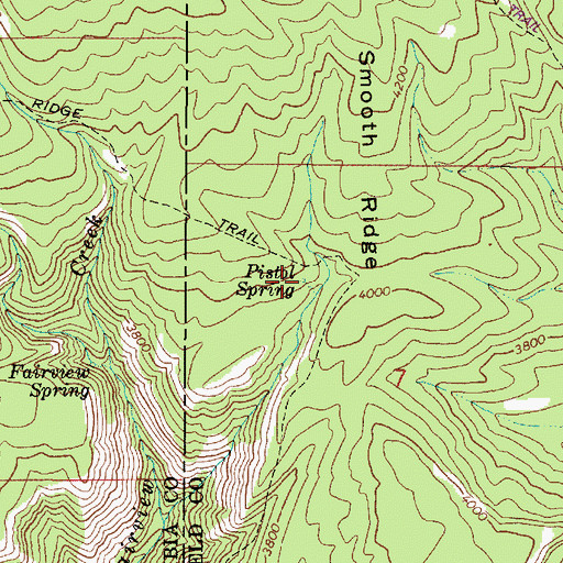 Topographic Map of Pistol Spring, WA