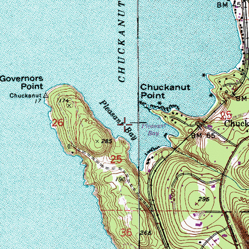 Topographic Map of Pleasant Bay, WA