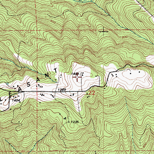 Topographic Map of Mount Pleasant, WA