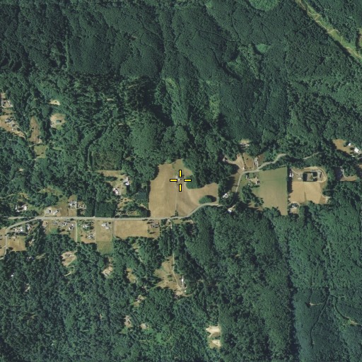 Aerial/Satellite Image of Mount Pleasant, WA