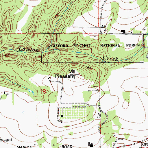 Topographic Map of Mount Pleasant, WA