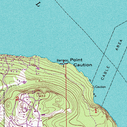 Topographic Map of Point Caution, WA
