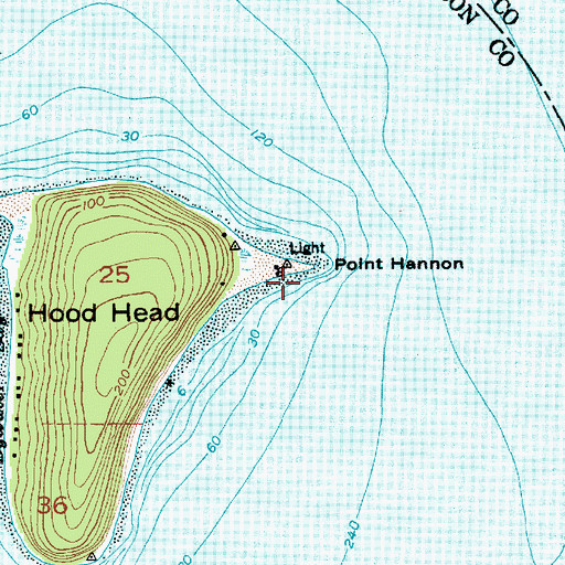Topographic Map of Point Hannon, WA