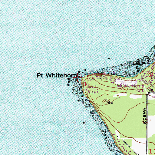 Topographic Map of Point Whitehorn, WA