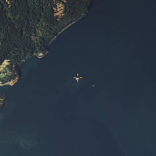 Aerial/Satellite Image of Pointer Island, WA