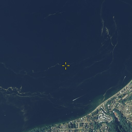 Aerial/Satellite Image of Poverty Bay, WA