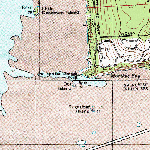 Topographic Map of Pull and Be Damned Point, WA