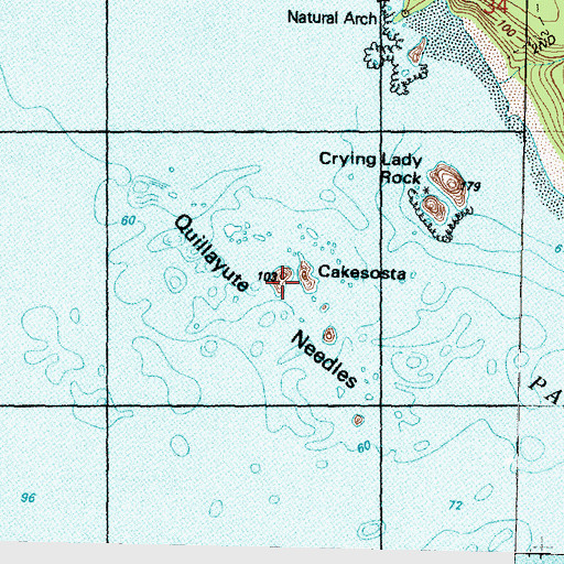 Topographic Map of Quillayute Needles, WA