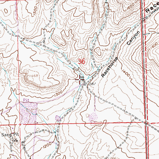 Topographic Map of Racehorse Canyon, WA