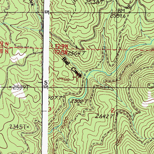 Topographic Map of Rail Creek, WA