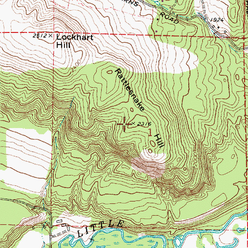 Topographic Map of Rattlesnake Hill, WA