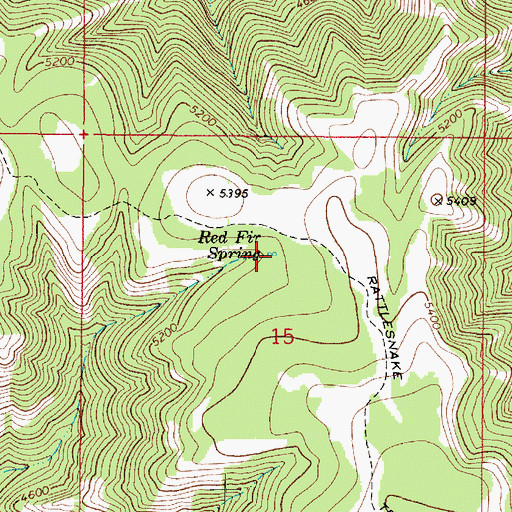 Topographic Map of Red Fir Spring, WA